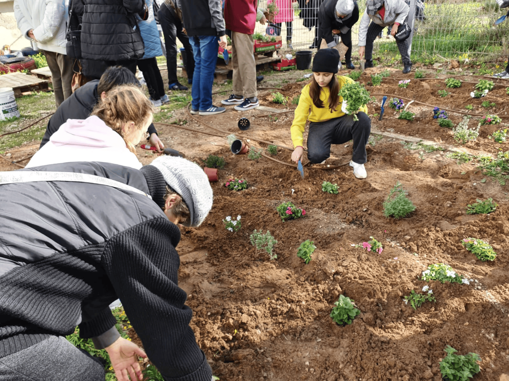 טו בשבט 2026 לכל המשפחה חוגגים את חג האילנות ברחבי העיר
