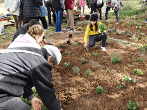 טו בשבט 2026 לכל המשפחה חוגגים את חג האילנות ברחבי העיר