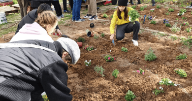 טו בשבט 2026 לכל המשפחה חוגגים את חג האילנות ברחבי העיר