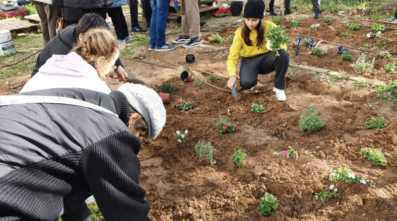 טו בשבט 2026 לכל המשפחה חוגגים את חג האילנות ברחבי העיר